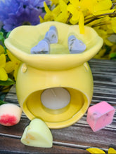 Load image into Gallery viewer, SMS AURA MELTS